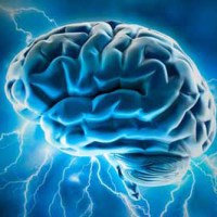 Want to check on your&nbsp;brain?