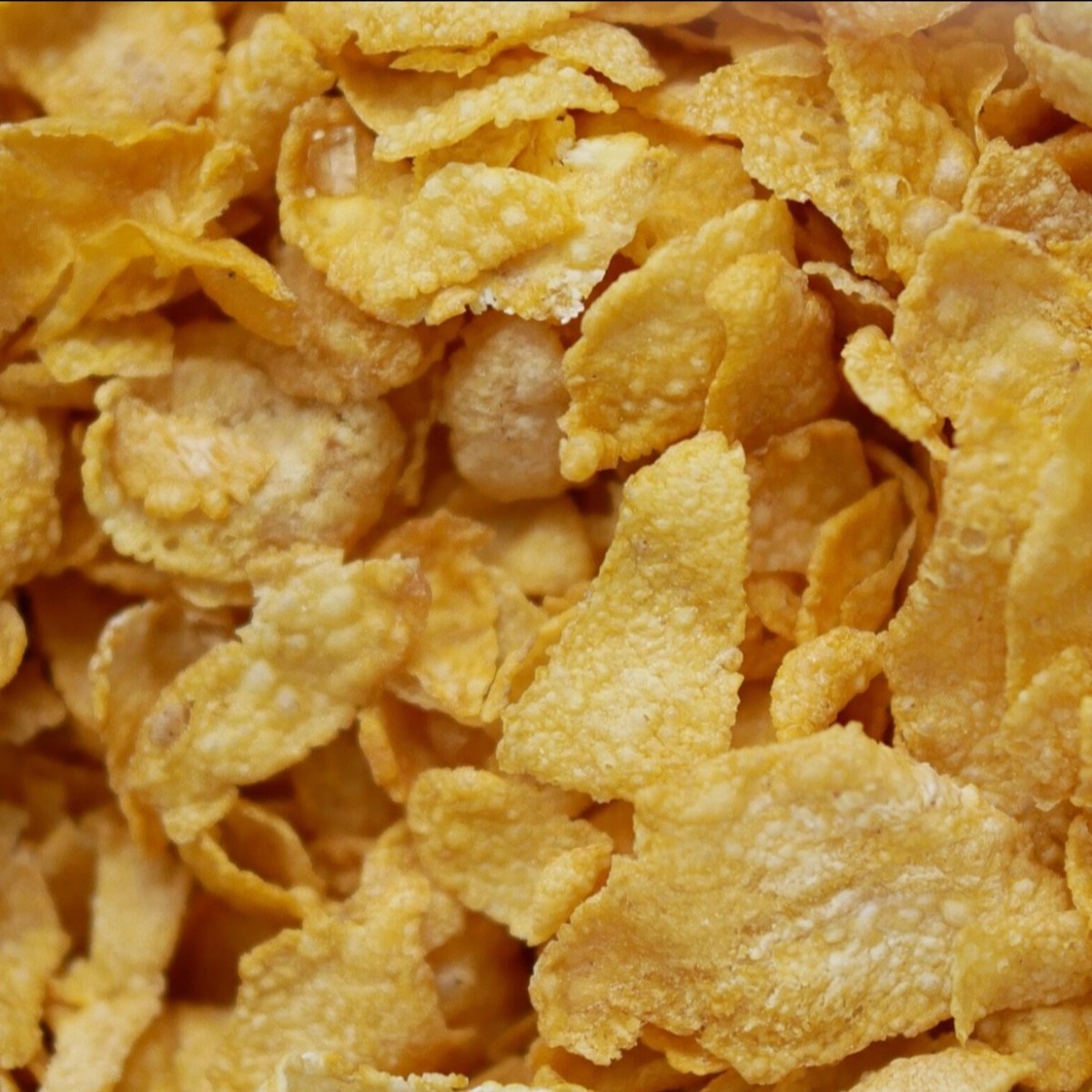 Eating Mold? Check the&nbsp;possibilities